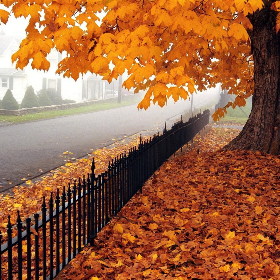 true autumn color season
