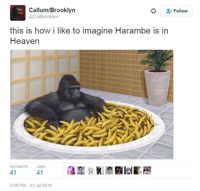 10 Of The Best Harambe Memes 9221
