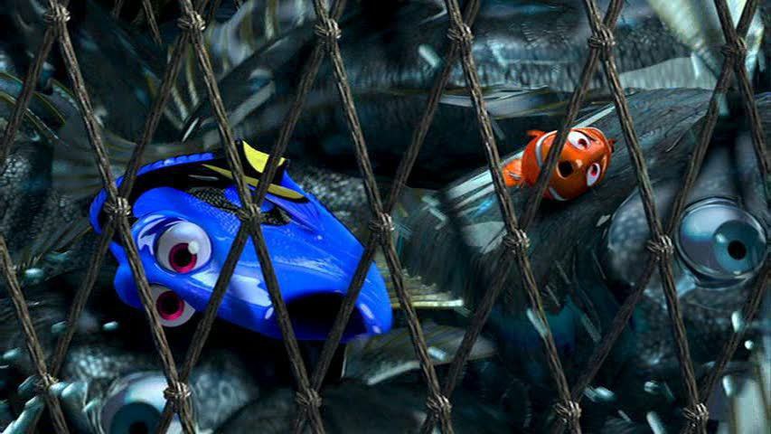 5 Parallels Between Nemo And Dory