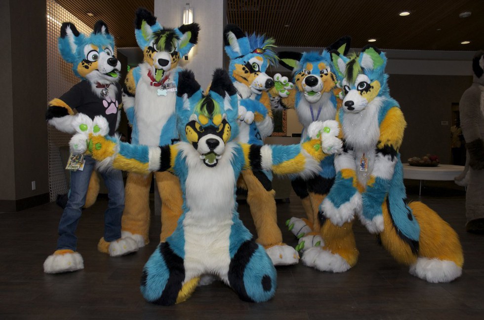 Understanding The Furry Fandom