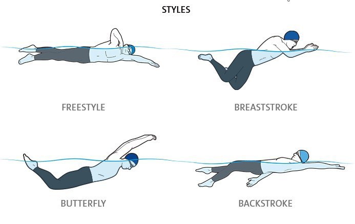 An Average Person s Guide To Olympic Swimming An Average Person s Guide To Olympic Swimming