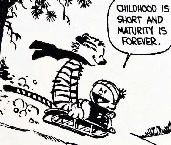 Life Lessons From Calvin & Hobbes