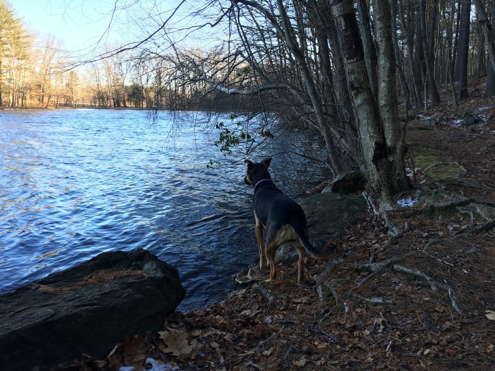 The Best Places To Run In Middlebury Ct 1 Lake Elise