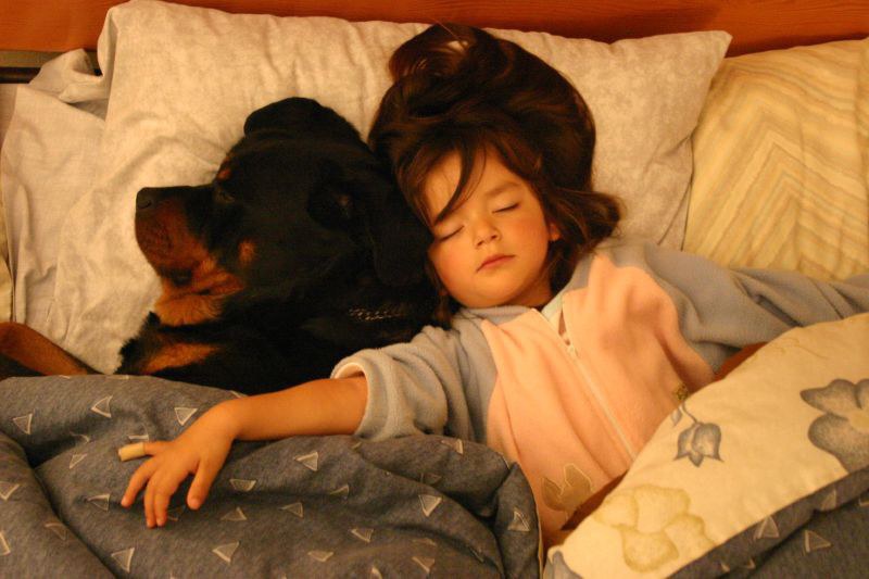 12 Reasons Why Rottweilers Are The Best Dogs | VortexMag