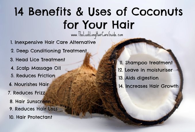 why-you-should-put-coconut-oil-in-your-hair