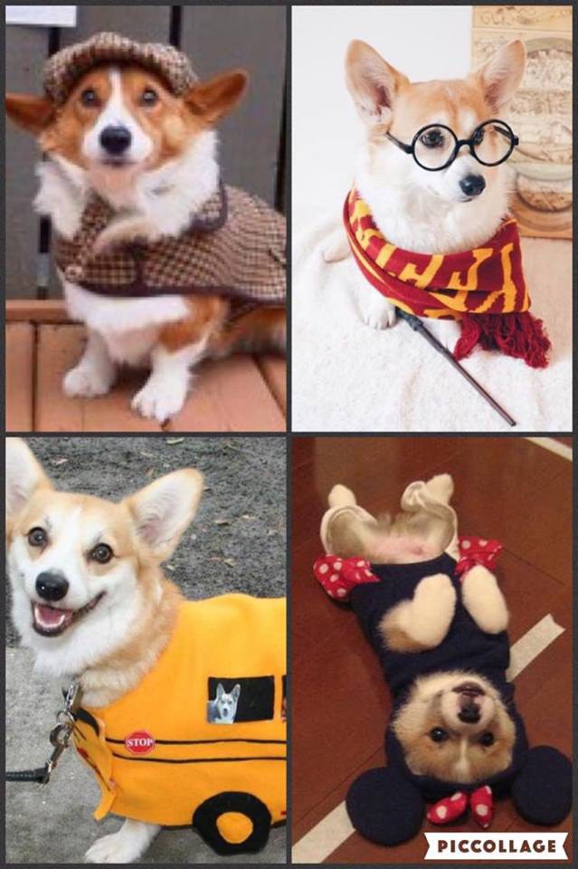 5 Reasons Why Are The Best