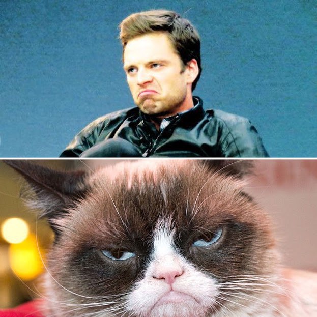 16 Times Sebastian Stan Proved That He's Actually An Animal