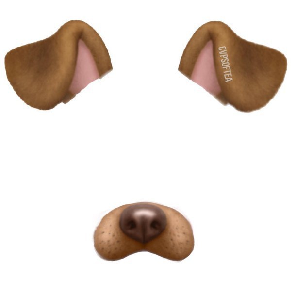 Why Does The Snapchat Dog Filter Bother You?