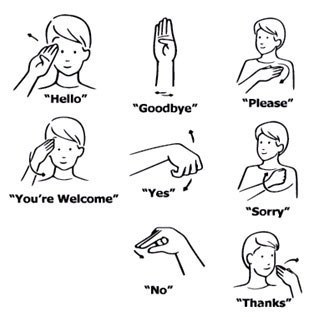 Why I'm Learning American Sign Language