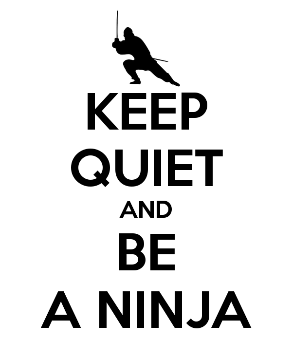 11 Things You Never Knew About Ninjas