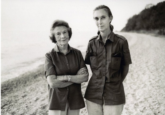 How Jane Goodall Was And Still Is Changing The World