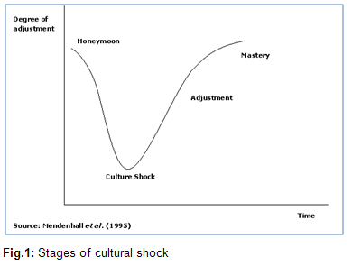 Culture shock stages and examples image