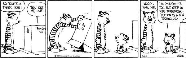 RECORD An Original Calvin Hobbes Sunday Strip Sold at Heritage