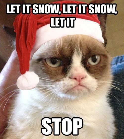 12 Days Of Christmas With Grumpy Cat