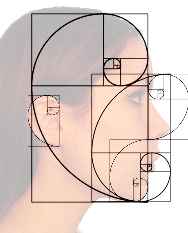 fibonacci sequence spiral in nature