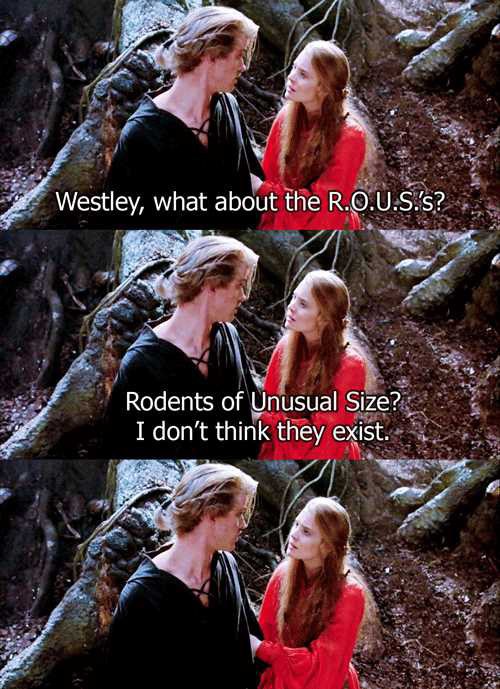 13 Life Lessons From The Princess Bride