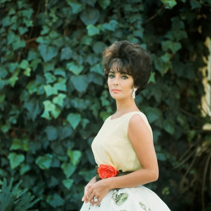 The Best And (Very) Worst Of Liz Taylor
