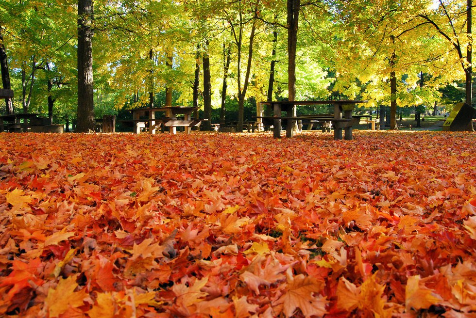 10 Reasons Why Fall In The South Is The Best