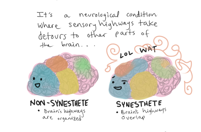 synthesia syndrome