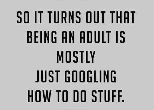 Image result for adulting
