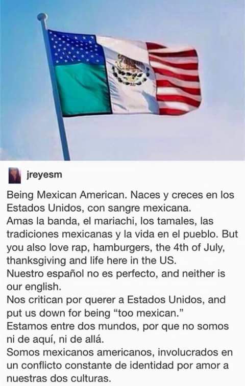 On becoming a chicano summary picture