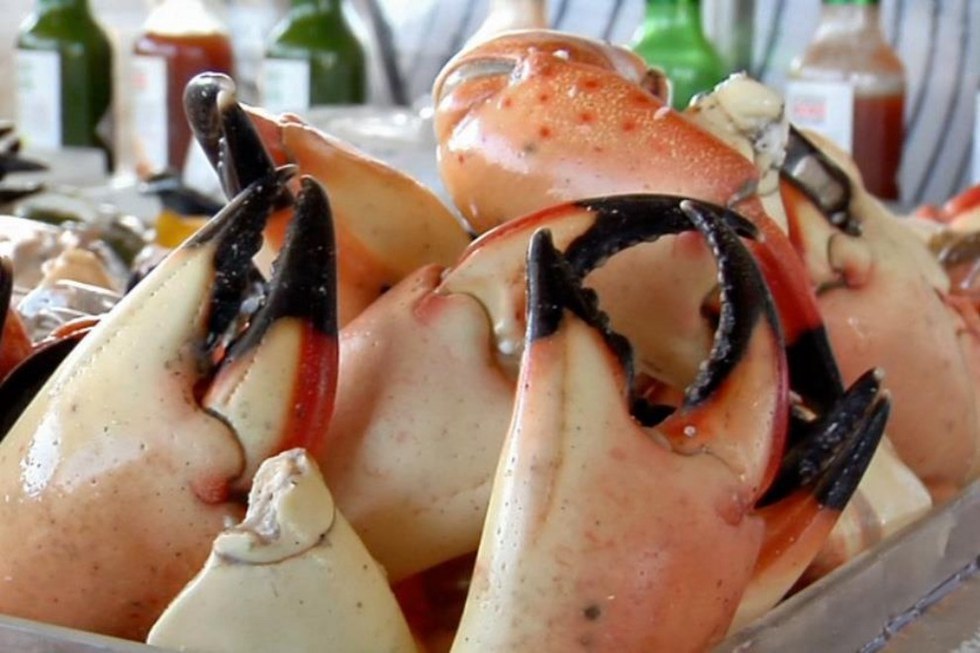 26 Reasons You Should Go To Key West For Christmas