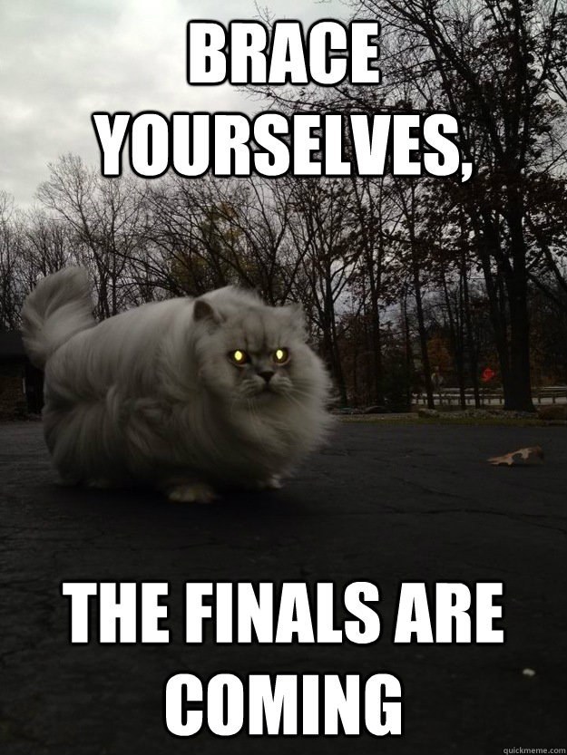Image result for cats finals week
