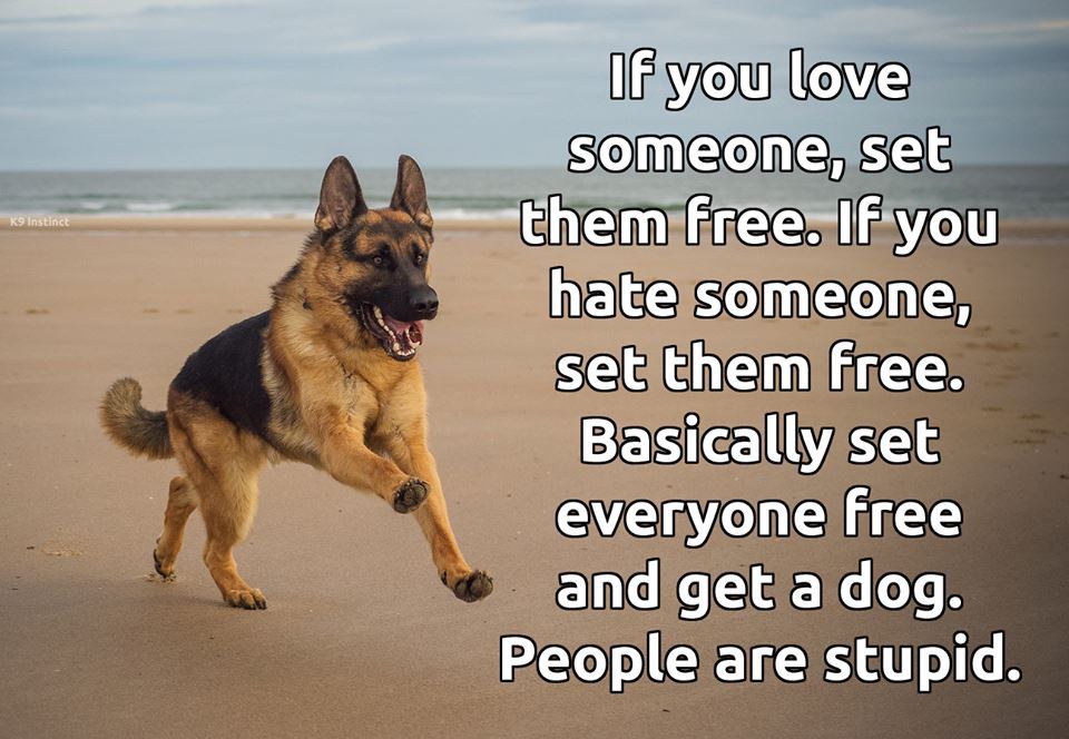 Why Dogs Are Better Than Most People