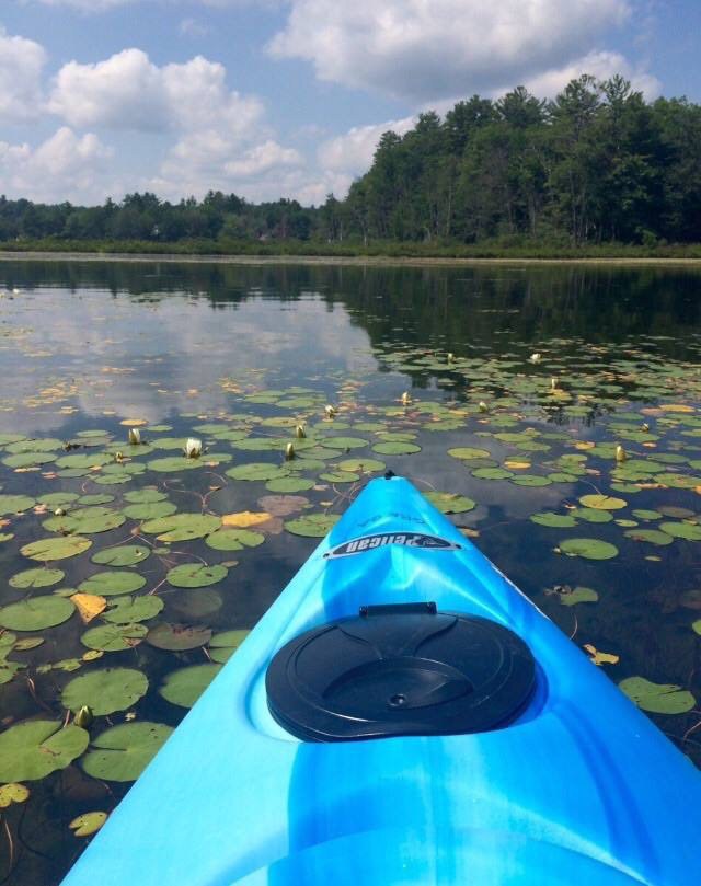 5 Reasons To Enjoy Nature