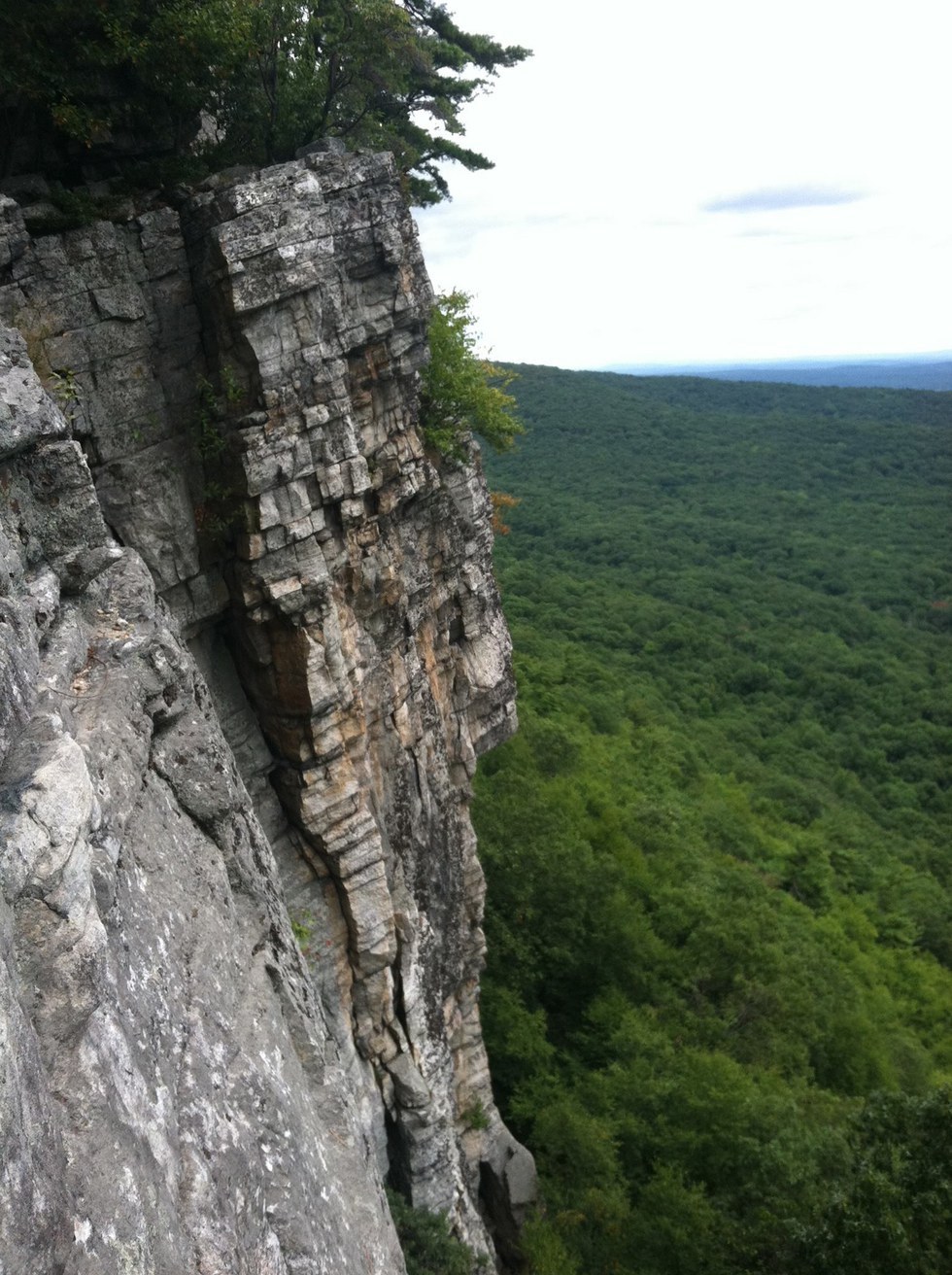 5 Reasons To Enjoy Nature