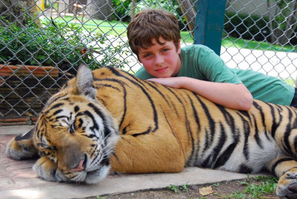 Why Big Cats Do Not Belong In Petting Zoos