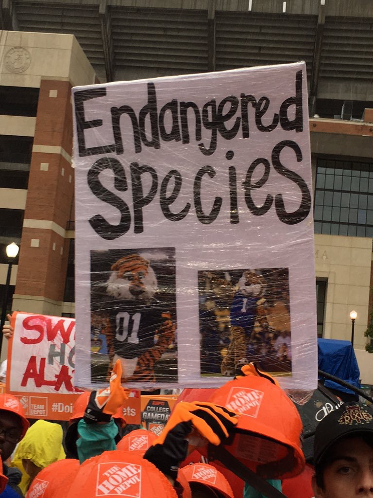 Best Signs From Alabama Vs. LSU College Gameday