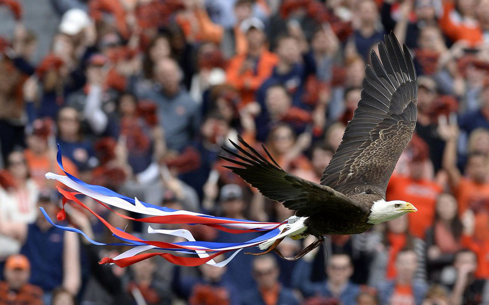 Auburn Does Not Have Two Mascots