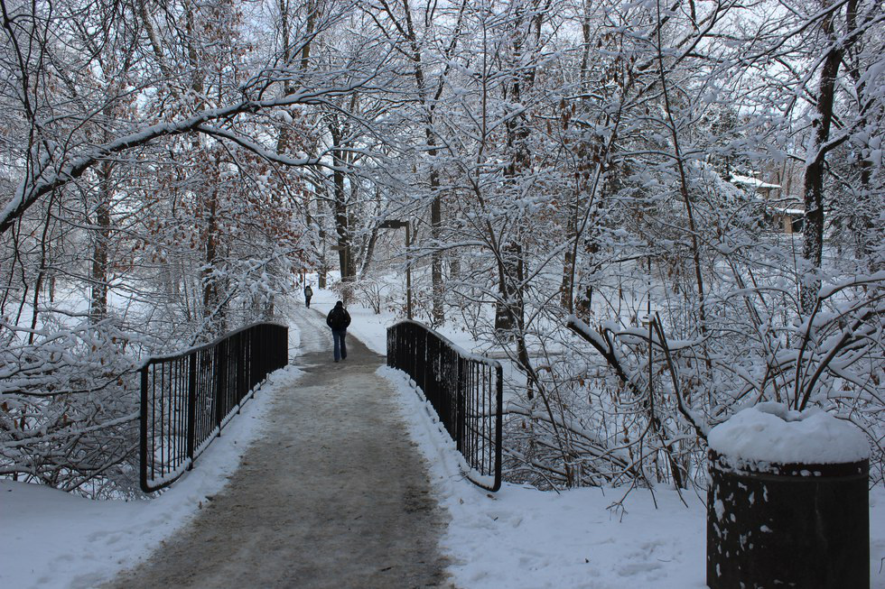 Iowa State University A Stunning Winter Campus