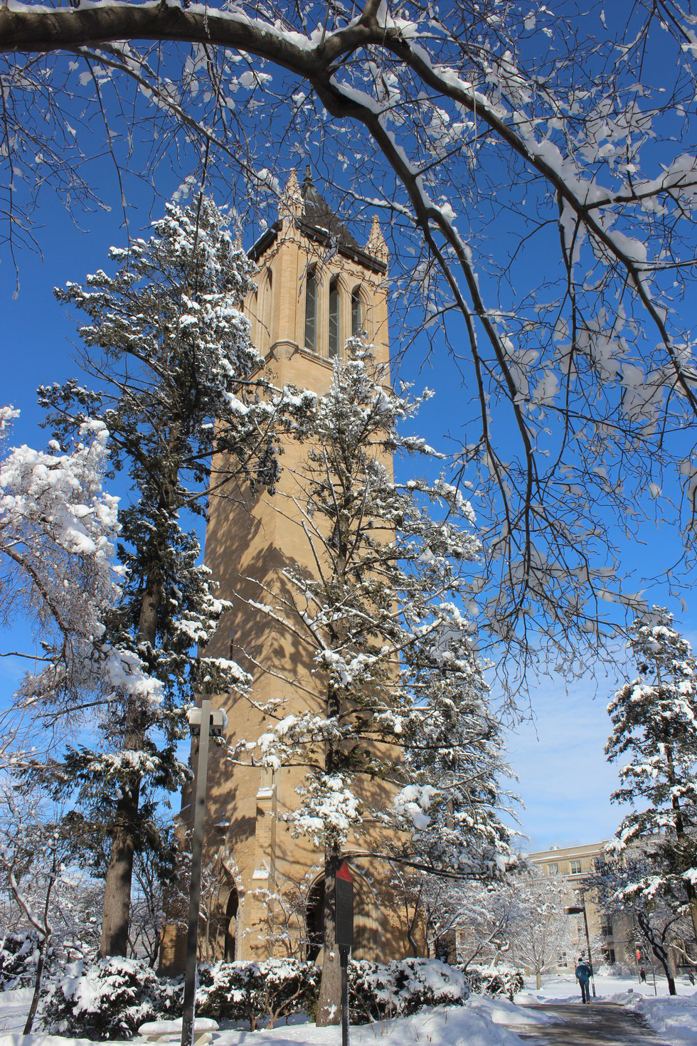 Iowa State University A Stunning Winter Campus