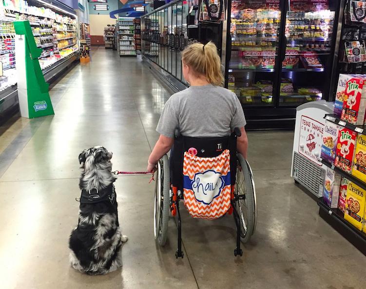 why you should never pet a service dog