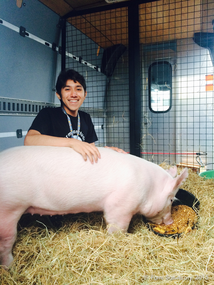 Bruno Barba With His Pig Lola