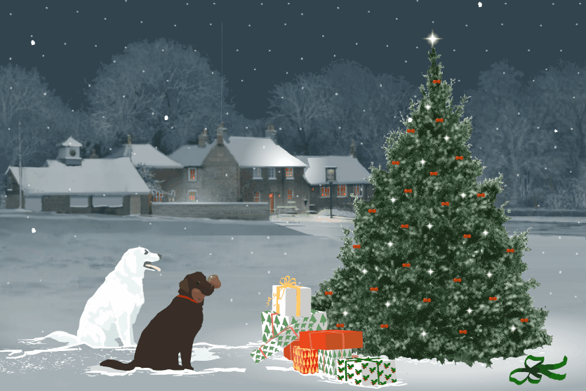 wanting to go hardcore at decorating and getting all the best decorations for the house but you end up having to get your christmas tree at the big lots - Best Interactive Christmas Cards wanting to go hardcore at decorating and getting all the best decorations for the house but you end up having to get your christmas tree at the big lots - Best Interactive Christmas Cards