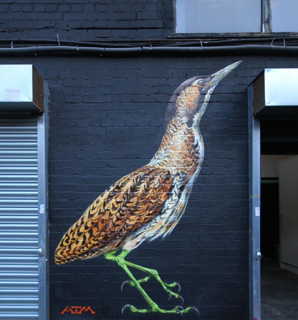 Street Artist "ATM" Paints Murals As A Call To Save Rare Birds