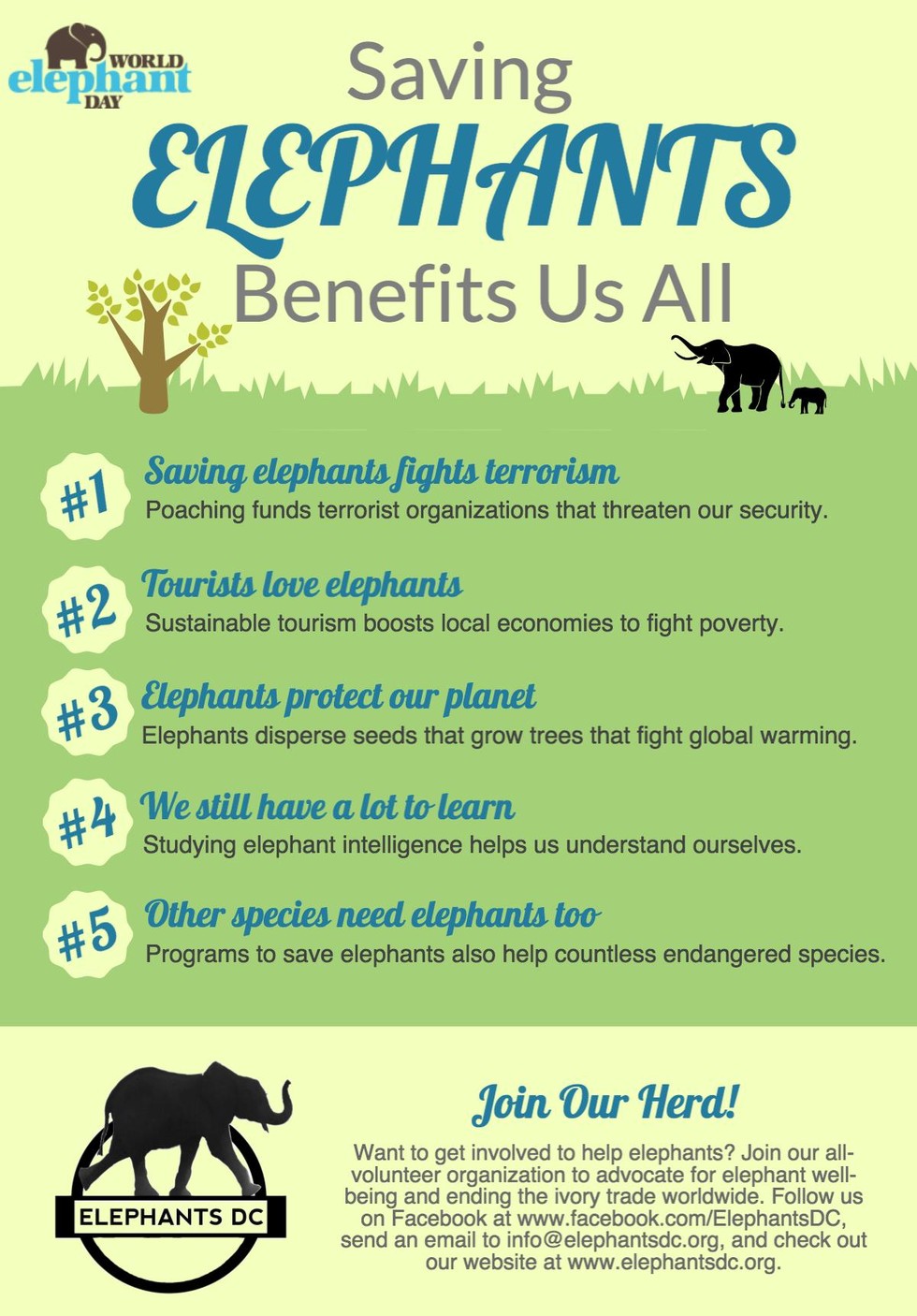 5 Ways That Saving Elephants Will Save Us Too