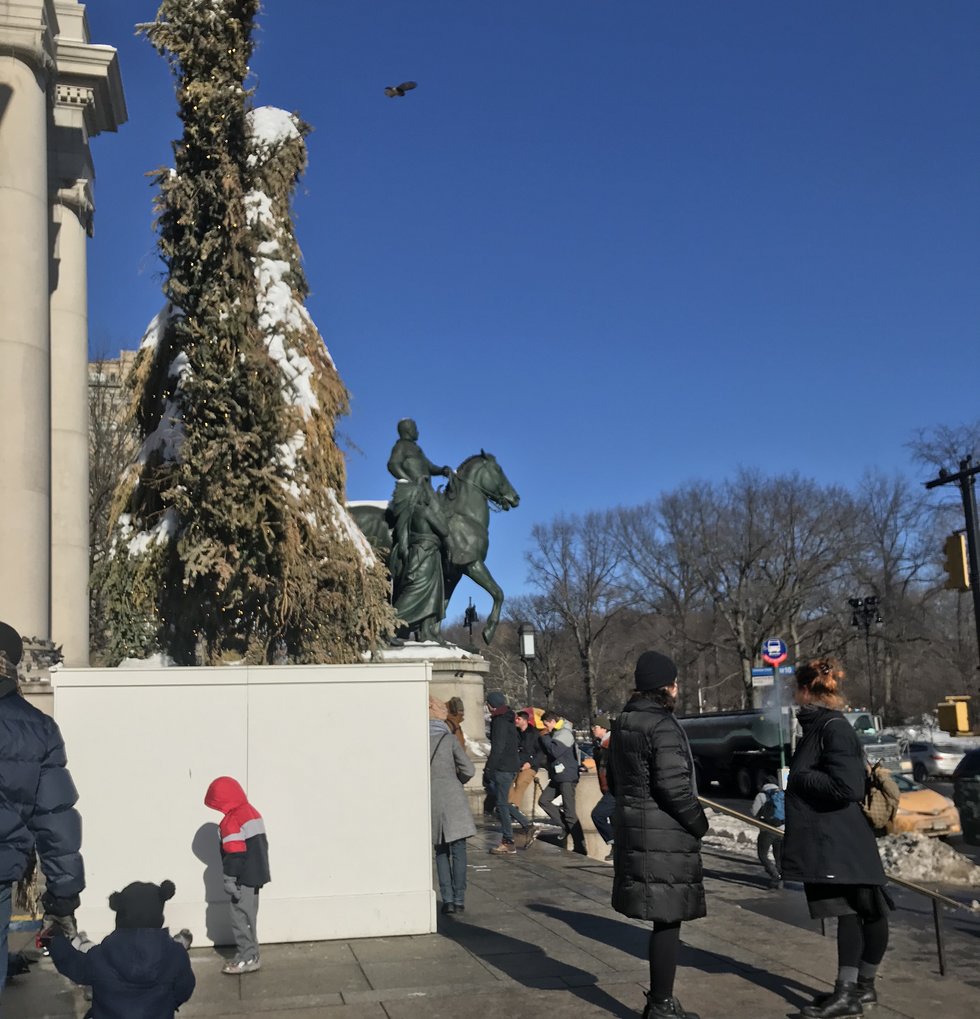 10 Things to Do Over Winter Break in Phoenix, Arizona