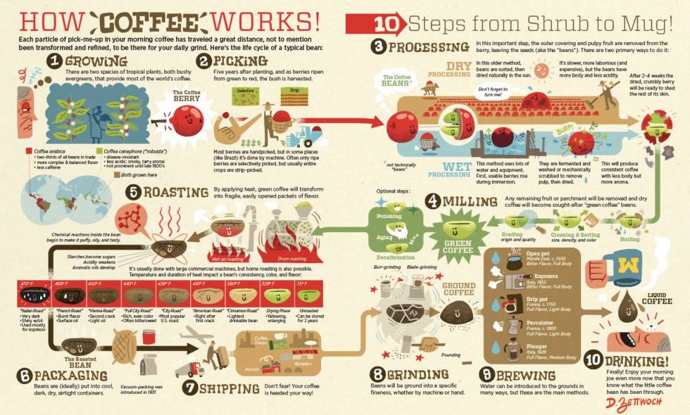 How To Order Starbuck Coffee Like A Boss