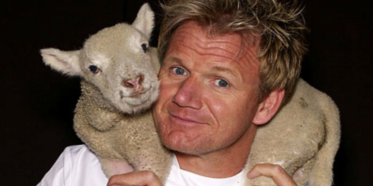 READ: Gordon Ramsay Cracks Joke About Vegans on Twitter - Comic Sands