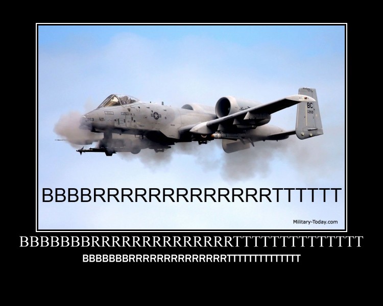 Image result for warthog plane meme