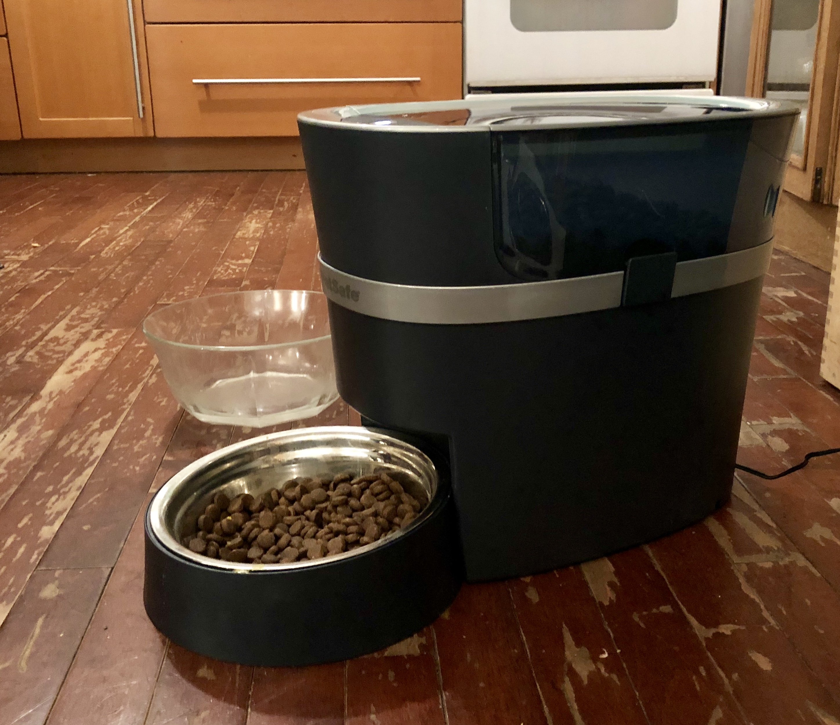 modern cat feeder