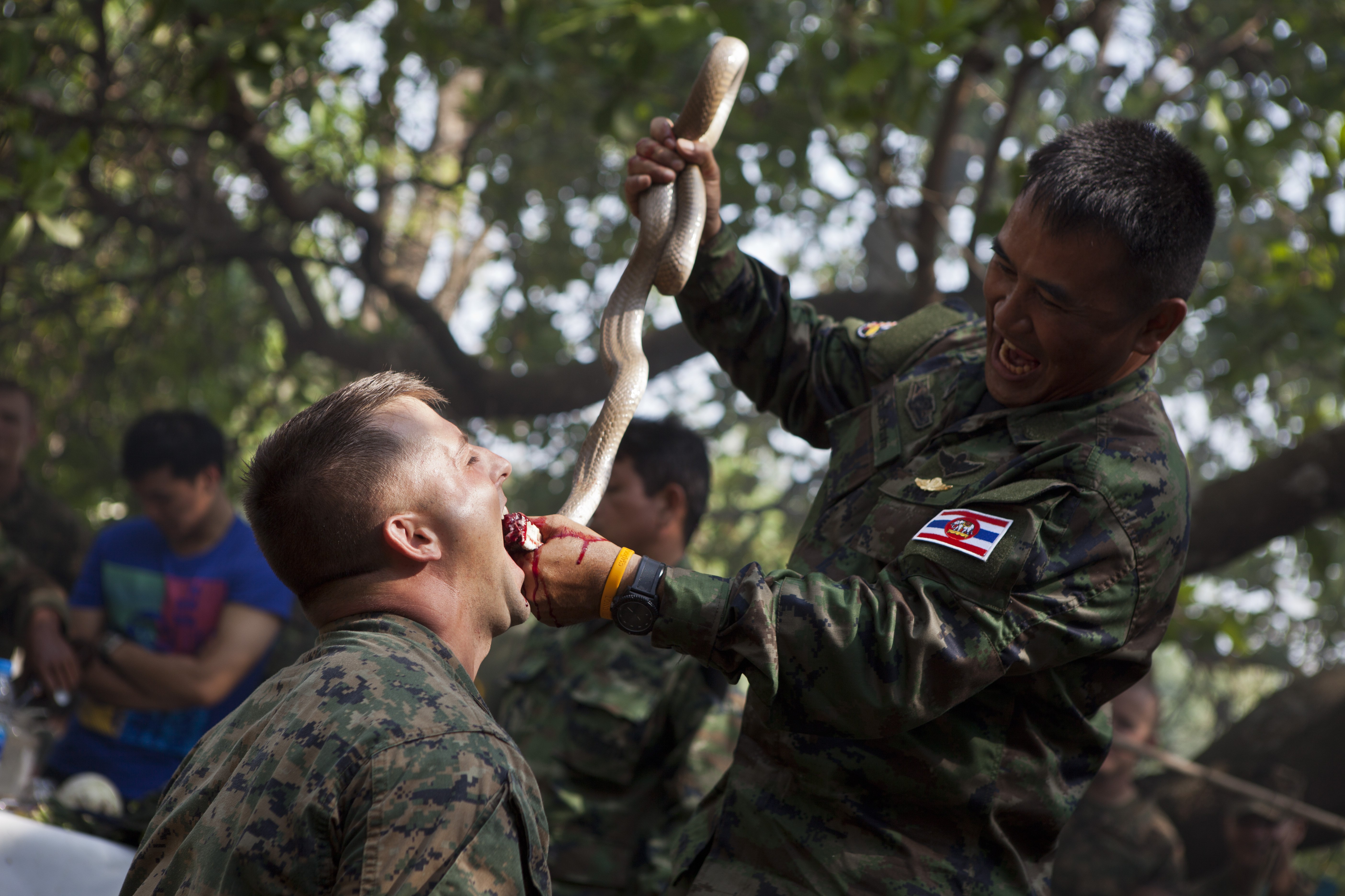 PHOTO OF THE WEEK - US Marine Drinks Blood Of Cobra Snake 