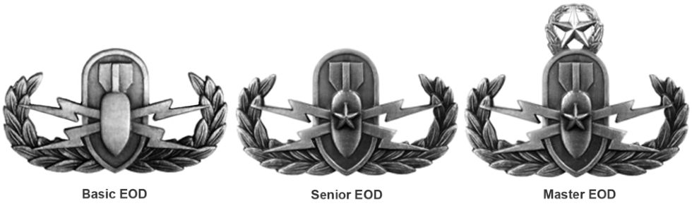 military freefall badge marines