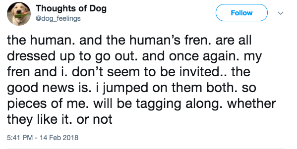 dog thoughts twitter dog thoughts twitter