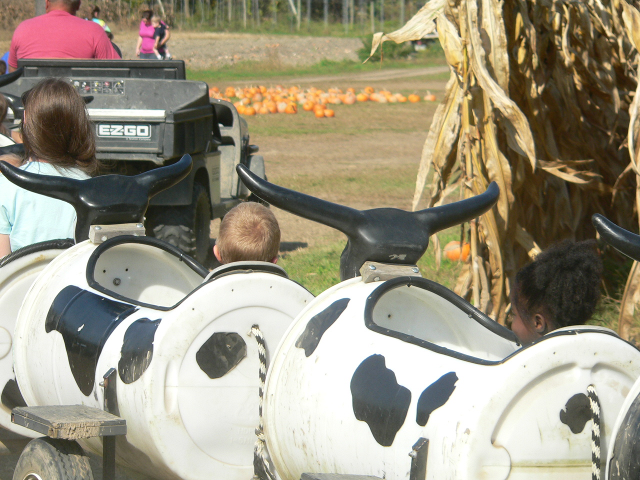 Simple New York Farmers Latest Casualties In Gay War On