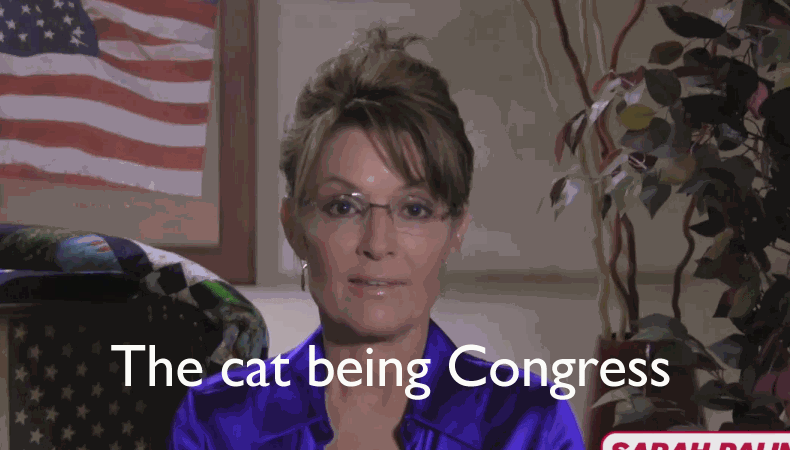 The Sarah Palin Fartknocker Report Sarah Tells You The Truth So You